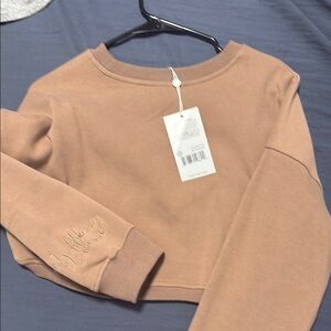 Brown Cropped Sweatshirt